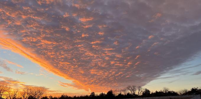 A dramatic sunrise with vibrant orange and pink hues illuminating the clouds against a soft blue sky. Silhouettes of trees are visible at the bottom.