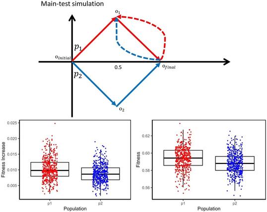 Data analysis illustrating change in fitness within the tested populations.