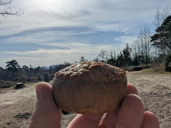 a hand holdinga pork pie in front of an bare sandy area with distant trees and hills behind it