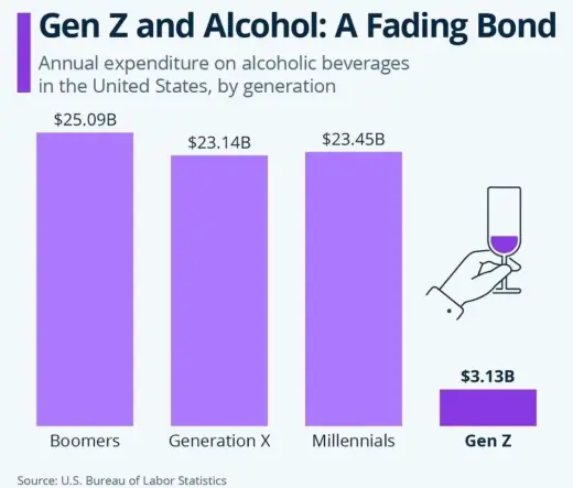 A bar graph titled GEN Z AND ALCOHOL, A FADING BOND, displays annual expenditure con alcoholic beverages in the United States, by generation. Boomers: $25.09B, GenX: $23.14B, Millenials $23.45B, GenZ: $3.13B. Source U.S. Bureau of Labor Statistics