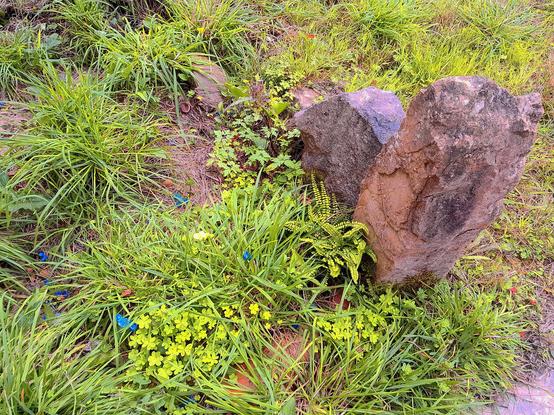 Unas pequeñas rocas de caliza y margas (piedras grandes) posadas en vertical, deshaciéndose tranquilamente, unas plantas las relamen en agradecimiento.Las envolturas azules de unos caramelos (que discrepan de los colores naturales) flotan alegremente sobre la yerba...