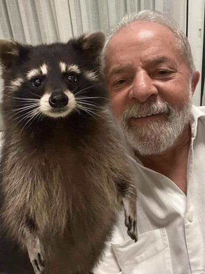 A photo of a delightful raccoon