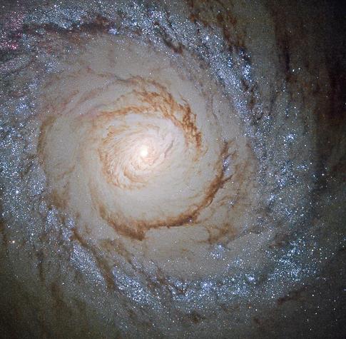 Portrait of galaxy.