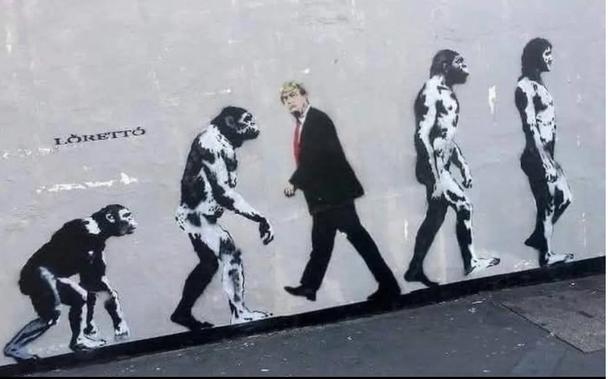 Wall Drawing by Loretto in whites, blacks, grays of a blank wall.  Street sloping up from left to right. The famous drawing “Evolutionary Progression” starting  with the apes to the left and mankind “evolving “ to humans walking upright. although scientifically inaccurate evolutionarily).  Trump is shown in the middle walking downhill opposite direction.