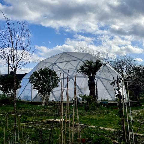 A geodesic dome greenhouse surrounded by greenery, including trees, shrubs, and garden stakes, under a partly cloudy sky.