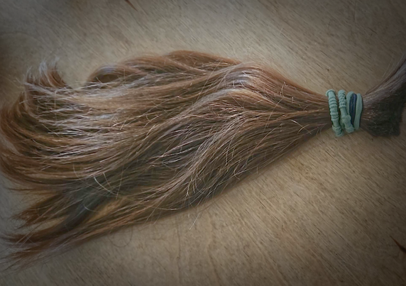 Abgeschnittener Zopf