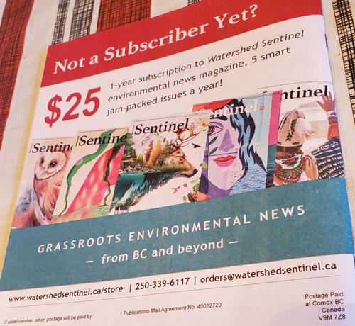 Promotional ad for the Watershed Sentinel environmental news magazine. The ad proclaims, "Not a Subscriber Yet?" and highlights a one-year subscription for $25, which includes five jam-packed issues. Displayed are multiple covers of the magazine, each featuring distinct artwork: one shows an owl, another has trees and watercolor designs, another shows wildlife, and the last two have a drawing. The ad also says "Grassroots Environmental News - from BC and beyond" and includes the website and contact information.