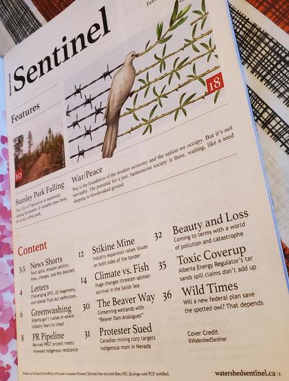 Close-up shot of an open magazine showing the cover page. The page header displays "Watershed Sentinel". The main graphic includes a symbolic drawing of a dove, perched on adjacent strands of barbed wire and an olive branch. The layout is categorized into "Features" and "Content", listing articles like "Stanley Park Falling", "Stikine Mine", and "Toxic Coverup". Printed on Rolland EnviroPrint, 100% post-consumer Process Chlorine Free recycled fibre, FSC, Ecologo and PCF certified.