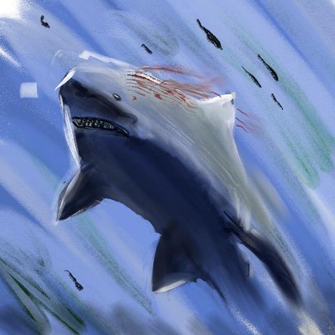 Shark colorized by me. he has a bleeding scratch