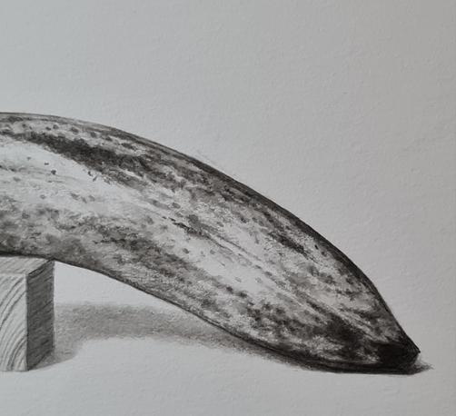 Work in progress, Indian ink drawing : detail of a banana / dessin à l'encre de Chine (en cours), détail d'une banane.