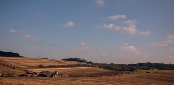 Rolling Hills