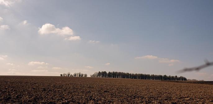 Farm