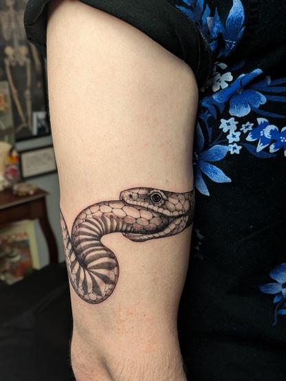 A fresh black and gray tattoo of an Ouroboros, which is a snake eating its own tail, around the bicep of a white arm. The snake's underbelly shows a little before curving around and going into its own mouth. The eyeball of the snake is fucking awesome I can't get over it and I'm so excited 🐍