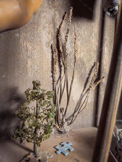detailaufnahme