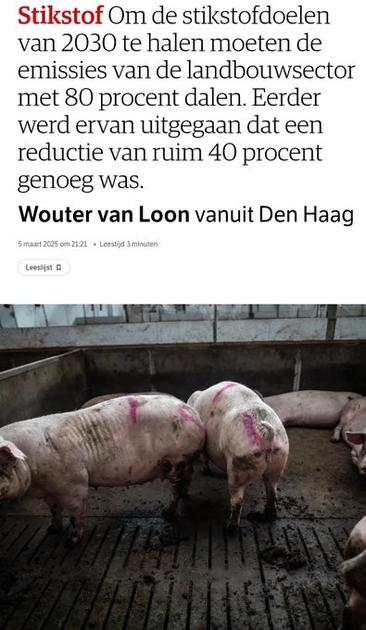 Kranten kop, tekst:
Stikstof Om de stikstofdoelen van 2030 te halen moeten de emissies van de landbouwsector met 80 procent dalen. Eerder werd ervan uitgegaan dat een reductie van ruim 40 procent genoeg was.
Wouter van Loon vanuit Den Haag
5 maart 2025 om 21:21. 

Foto: 5 slechtuitziende varkens in een kleine box