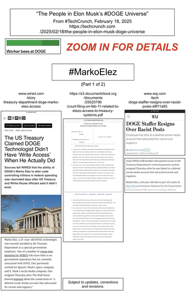 Screenshots of two news articles and pages from a court document, all pertaining to Marko Elez (a worker bee for Elon Musk and DOGE).