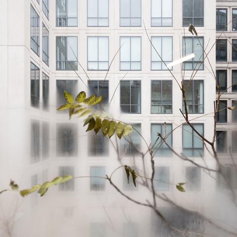 View of a building across a courtyard through a steamy window with a tree branch in front of it
