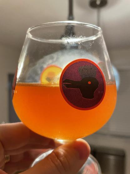 A tulip glass with the Duck Rabbit brewery logo (a rabbit from one perspective, a duck from the other) filled halfway with a slightly hazy bright orange beer, almost no bubbles, held up against a lamp to make it shine bright orange.