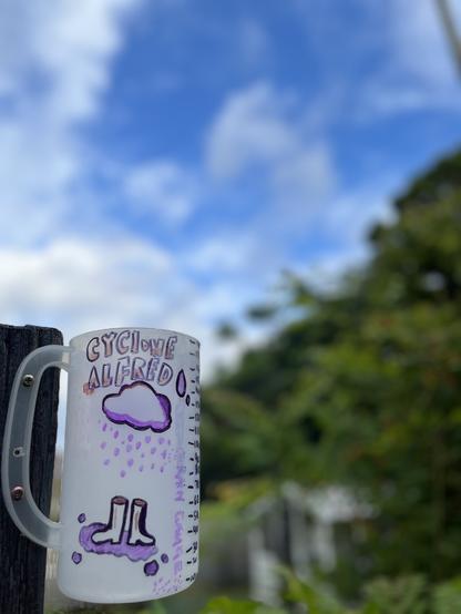 A home-made rain gauge decorated with the words ‘Cyclone Alfred’, a cloud, raindrops, and gumboots is fixed to a post with clouds, blue sky, and trees in the background.