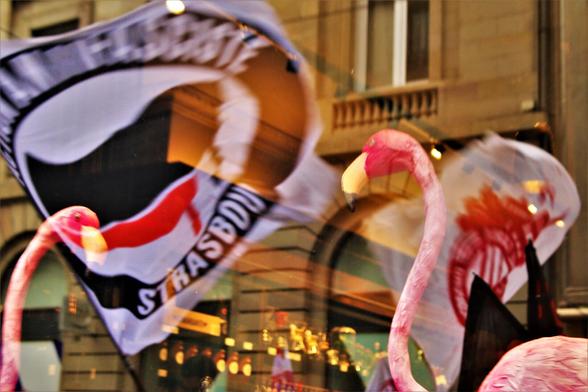 Le drapeau "Action Antifasciste Strasbourg" reflété dans une vitrine de magasin
