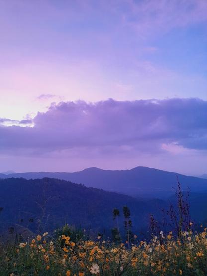 Beautiful scenery of a mountain and flowers.