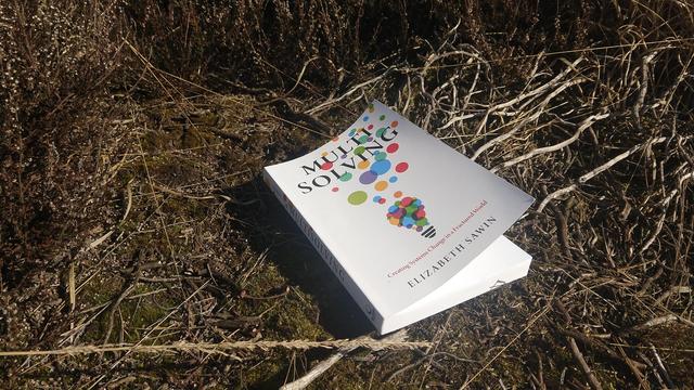 "Multisolving: Creating Systems Change in a Fractured World" book cover. It's white with a lightbulb emitting colourful bubbles. Background: moss and Calluna shrubs, some alive and som dead and bleached by the sun.