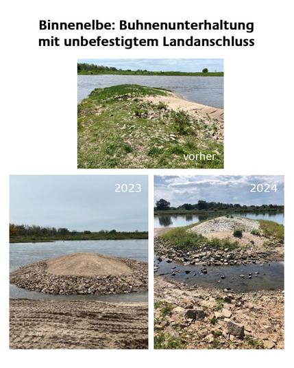 Bilderserie zu: Binnenelbe: Buhnenunterhaltung mit unbefestigtem Landanschluss. Vor der Maßnahme oben mittig, unten links 2023, unten rechts 2024.