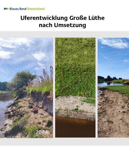 Bilderserie: Uferentwicklung Große Lüthe nach der Umsetzung, 2024. links: Naturnahes, eigendynamisches Ufer ohne Wasserbausteine. Mitte und rechts: zwei weitere Ansichten des naturnahen Ufers.