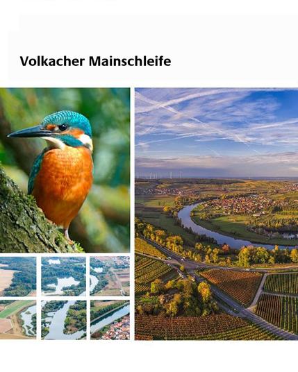 Bilderserie zur Volkacher Mainschleife. Oben links: Eisvogel. Unten links: Luftaufnahme Volkacher Mainschleife. rechts: Luftbild Volkacher Mainschleife im Abendlicht.