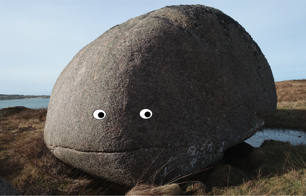 A large rounded granite boulder, with a mouth-like crack  near the base sits on a boggy ground with brown moorland behind, and a blue sea and sky. Googly eyes have been added to give the boulder a shifty or nervous appearance.