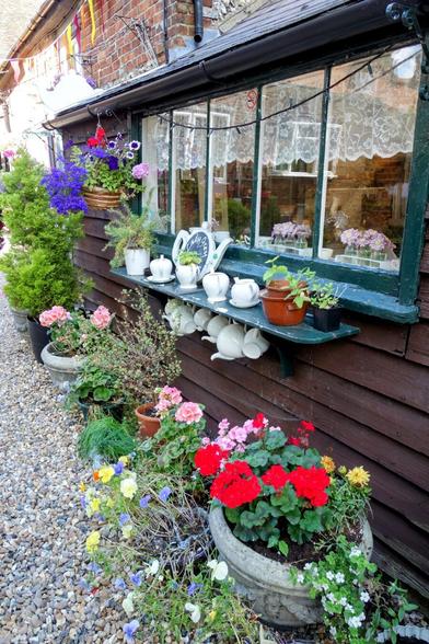 A charming exterior shot of a building with a rustic, cottage feel. The focus is on a large window with white lace curtains, framed by a dark green painted wooden frame. Below the window, a green shelf holds a collection of white teacups and teapots, along with a few small potted plants.
The building's wall is clad in dark brown weathered wood. At the base of the wall, a variety of potted plants and flowers are arranged, including pink geraniums, blue lobelia, and a small conifer. The ground is covered in light-coloured gravel.
A hint of colourful bunting is visible in the top left corner, adding to the quaint, festive atmosphere. The reflection in the window shows a glimpse of the building's interior.
