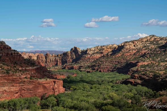 A river valley lush with green trees nestled along the red rock of Utah's southwest desert.