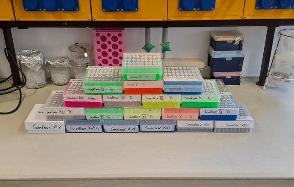 19 Laboratory Freezer Boxes neatly stacked on top of each other on the same bench. They contain almost 1400 tubes with the seeds of individual transgenic Arabidopsis thaliana lines.