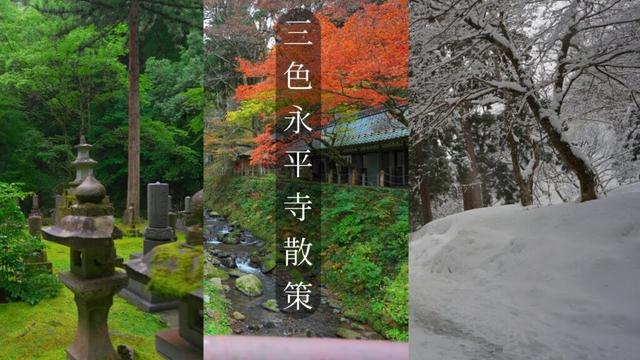 三色永平寺 散策 福井県永平寺町 4KHDR