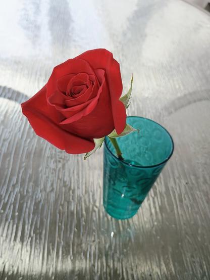A beautiful red rose sits in a green glass of water. The glass is on top of a patterned glass patio table, and we're looking down on the rose.