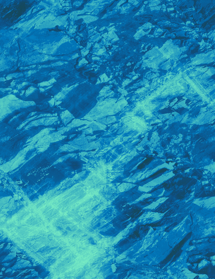 Another abstract piece of digital art. It is the same photo as before, with a blue filter applied to it. Everything is now blue and light green.