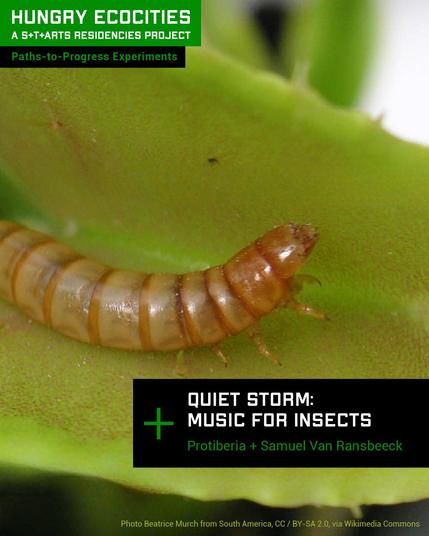 A picture of a mealworm on an open venus flytrap. Its front is lifted up a bit as if it is looking to its impending doom.