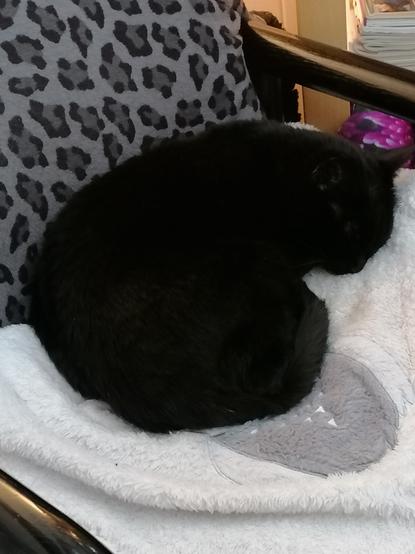 Meine schwarze Katze Inka liegt genüsslich auf meinem ausrangierten weißen Plüschpulli mit einer grauen PlüschEulenApplikation ....