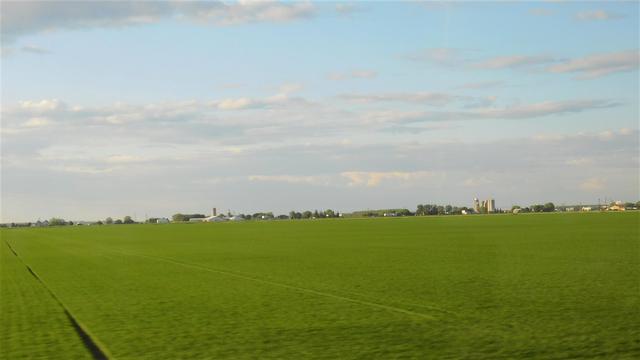 Depuis le train, nous avons contemplé la beauté de la campagne : champs, granges, fermes. Trajet en train Via Rail, route entre Montréal et Québec.
© 2025, Chartrand Saint-Louis, photographie