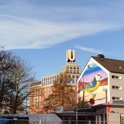 Foto der Szenerie.