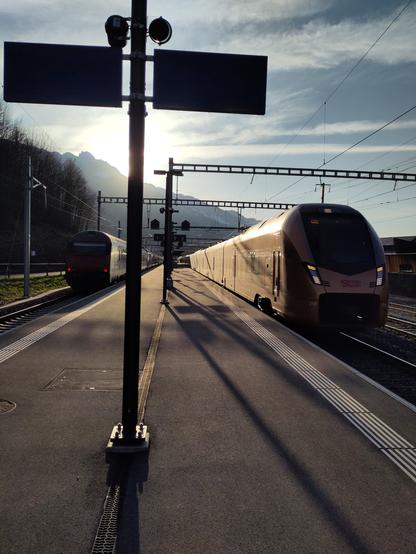 Foto. Zwei Züge im Bahnhof.