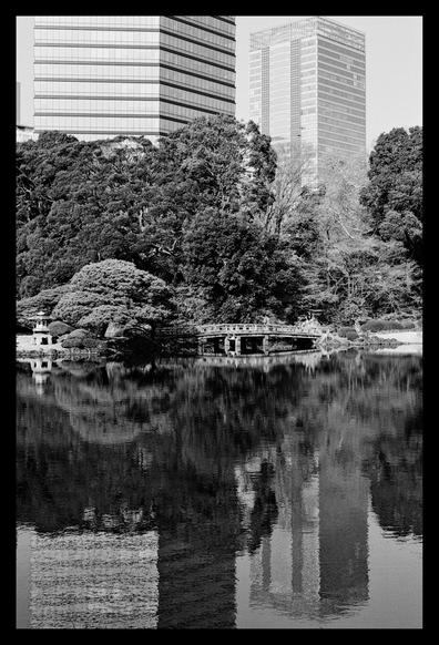 Black and white photograph in the Japanese garden of Shinjuku Goyen Park. You can see a pond in the foreground and the city's skyscrapers in the background. A bridge can be seen in the center of the photo, as well as meticulously trimmed trees at the end of this bridge.