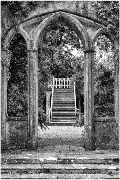 Black and white image featuring a stone archway of an condoned building adorned with ivy, leading to a set of stairs flanked by greenery. The staircase has a white railing and is surrounded by trees, creating a serene, overgrown garden atmosphere.