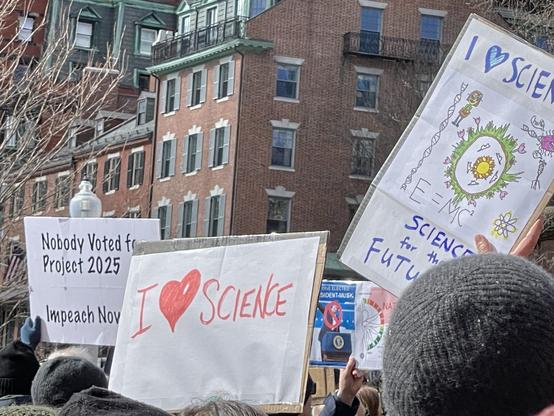 A few more of the signs being held up by rally-goers. One on the left says "Nobody voted for project 2025. Impeach now". One in the foreground says "I <3 SCIENCE". One on the right features a hand-drawn mandala shaped like the earth with plants growing out of it and says "I <3 SCIENCE" and "SCIENCE FOR THE FUTURE"