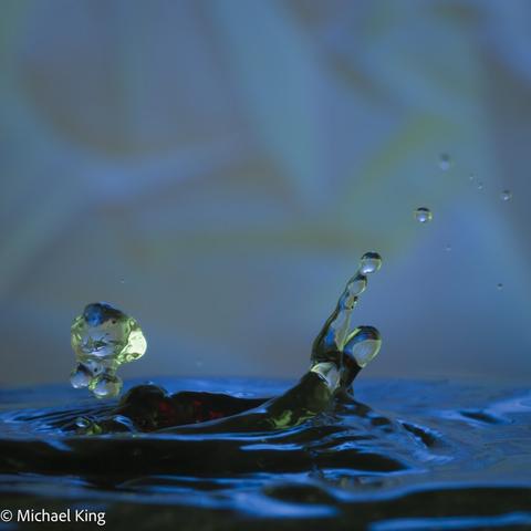 Rising droplets appear to be playing and observing water polo