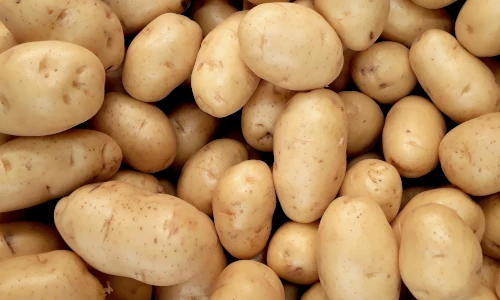 Washed potatoes, ready for chopping into French Fries.