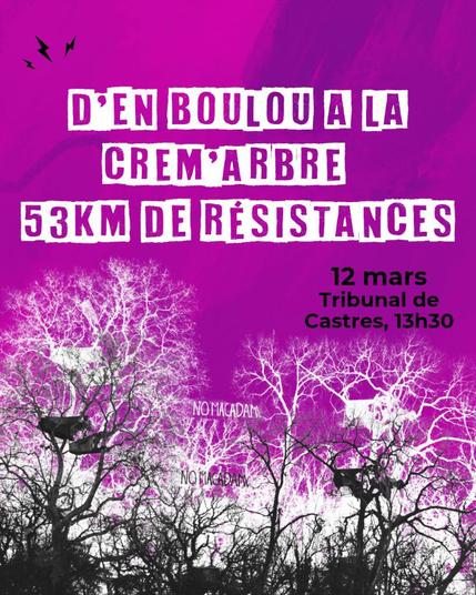 Affiche d’appel illustrée par une photo d’abre occupée par des écureuil⋅les sur fond rose bonbon.