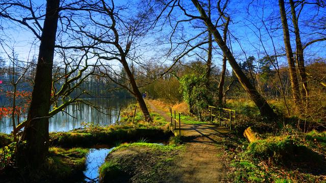 Blick durch Bäume über eine Brücke auf den Wanderweg  am in den Anton-Raky-Weiher.