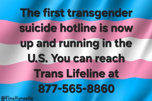 The image features a background in the colors of the transgender pride flag (blue, pink, and white) with text announcing the launch of the first transgender suicide hotline in the U.S. It provides the contact number for the Trans Lifeline: 877-565-8860