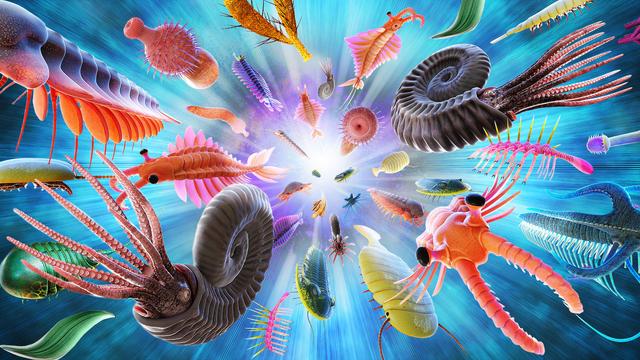 explosion of evolution